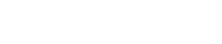 Netfiber